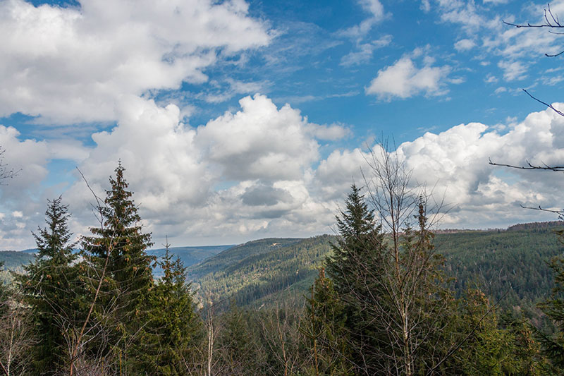 ... und hier der Blick