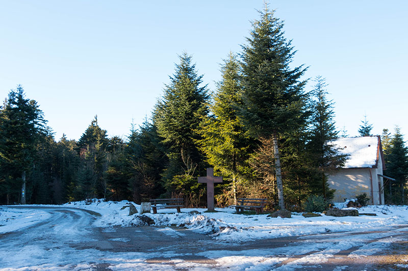 Am Pf&uuml;tzenh&auml;usle, Erinnerung an den Sturm Lothar