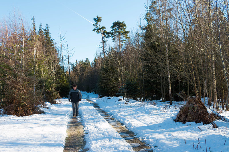 Die Fahrspuren sind manchmal ganz sch&ouml;n glatt