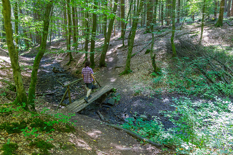 Viele B&auml;che sind fast ausgetrocknet
