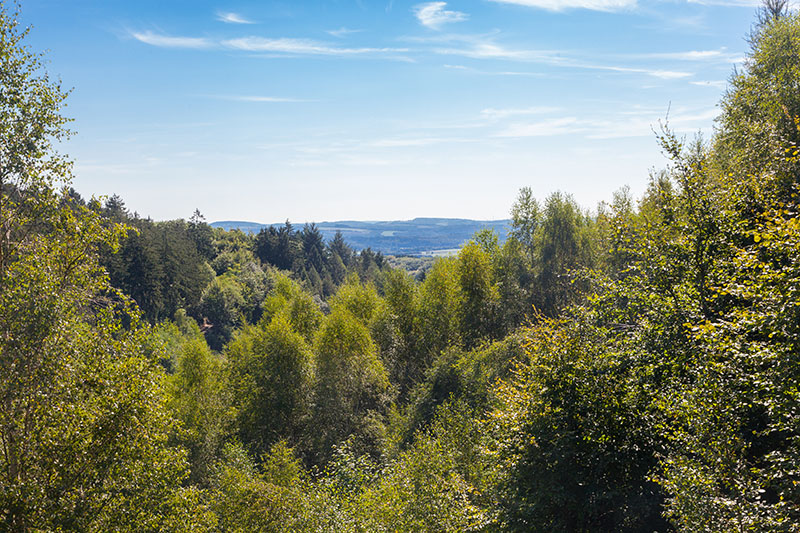 ... f&uuml;r einen weiten Blick