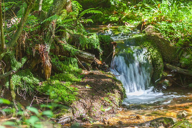 ... mehr als reichlich