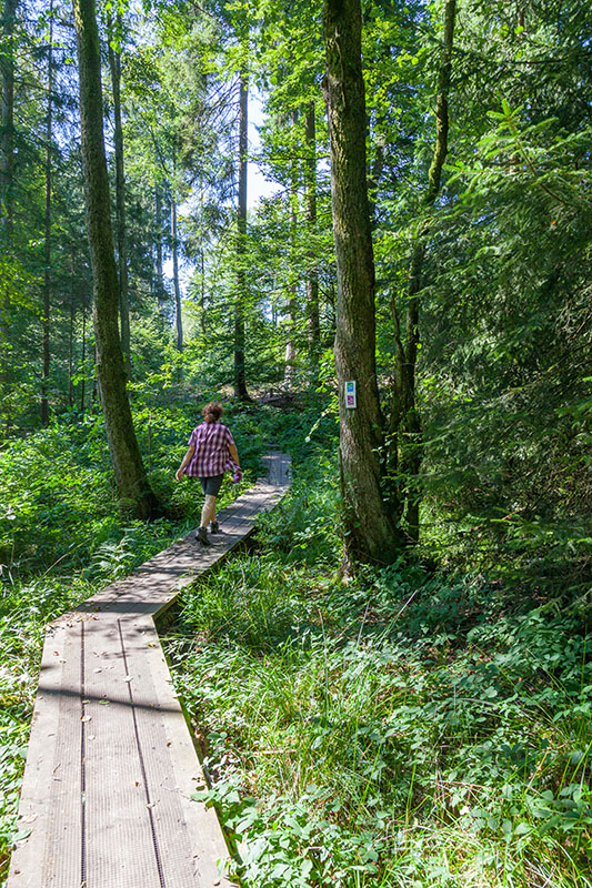 Schnellen Schrittes h&auml;ngen wir die "Verfolger" ab ;-)