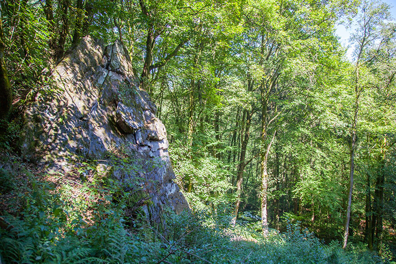 Die n&auml;chste Felsformation