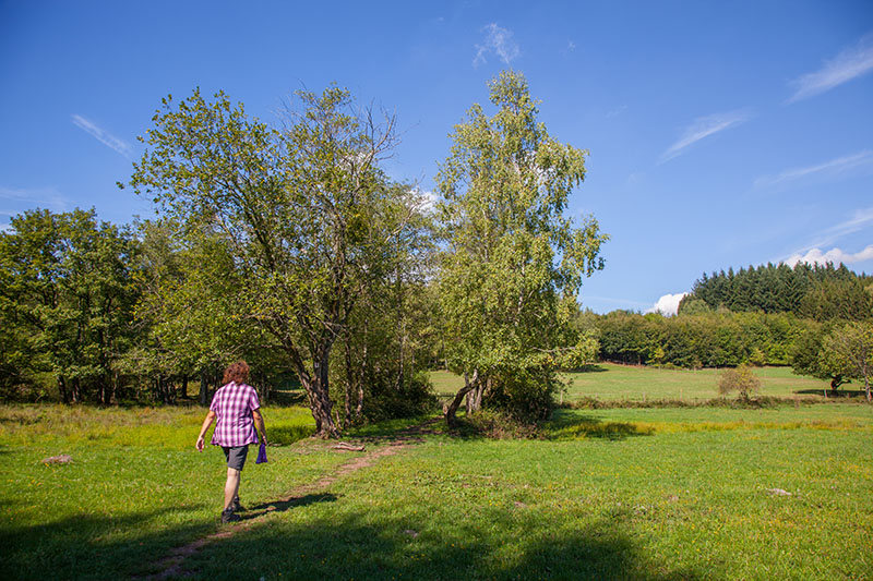Der Weg führt nun durch das Lannenbachtal ...