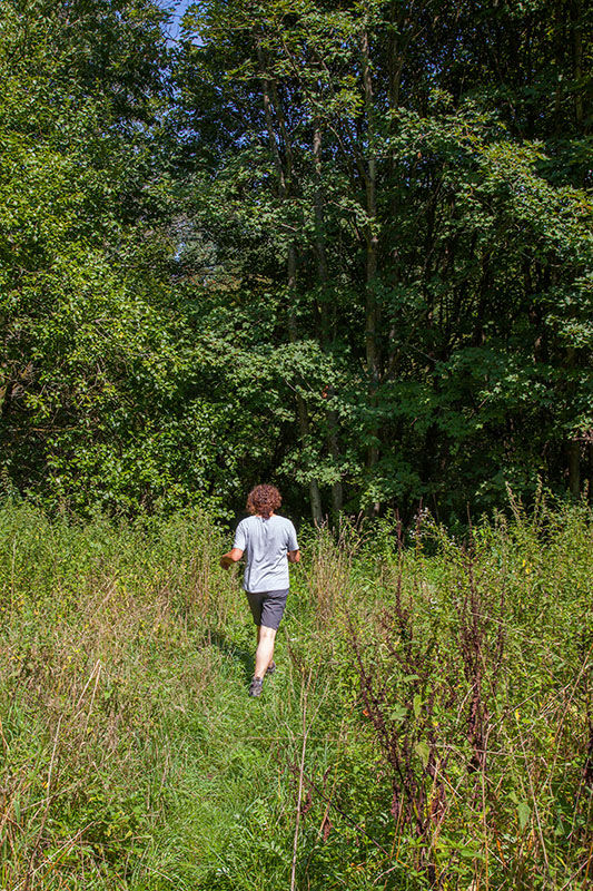 Zwischen Brennesseln und stacheligen Zweigen :-(
