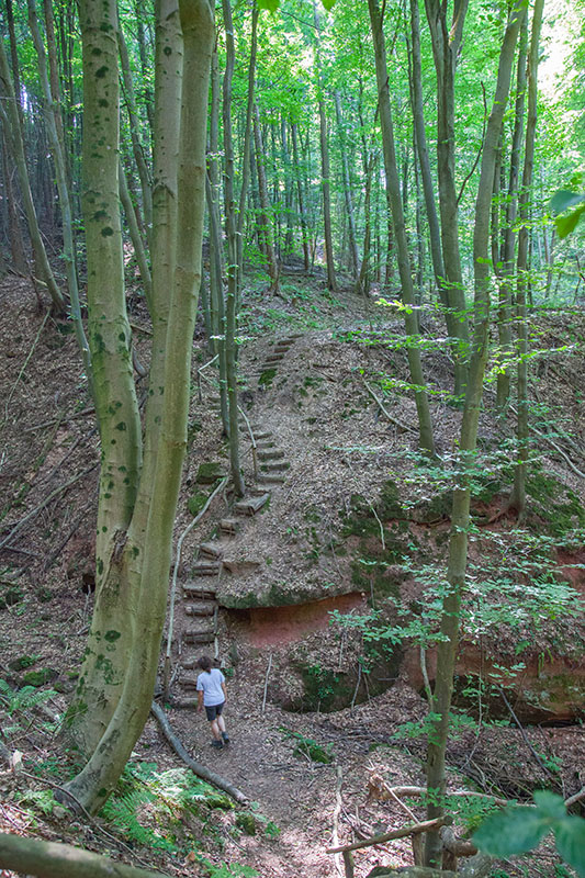 Mehrmals müssen wir solche Grate durchqueren