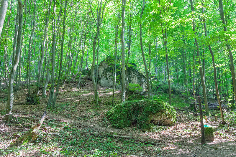 Diese Formation wird die "Grott" oder auch der "Raufels" genannt