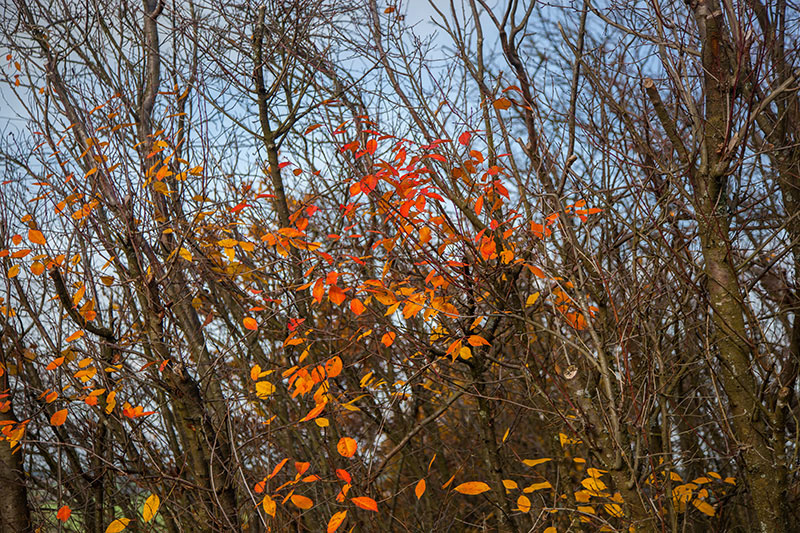 Bei warmem Herbstwetter starten wir zu einer kleinen Runde