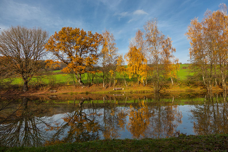 Am Fischweiher