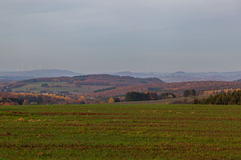 ... pr&auml;gen hier das Landschaftsbild