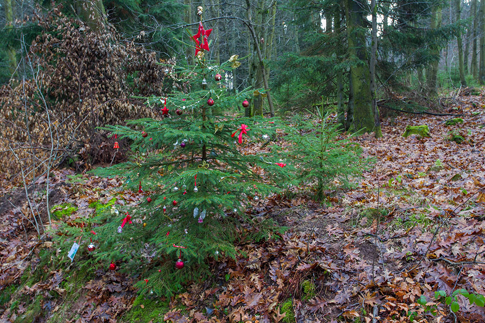 Ohne Schnee ist Weihnachten nicht mal halb so sch&ouml;n