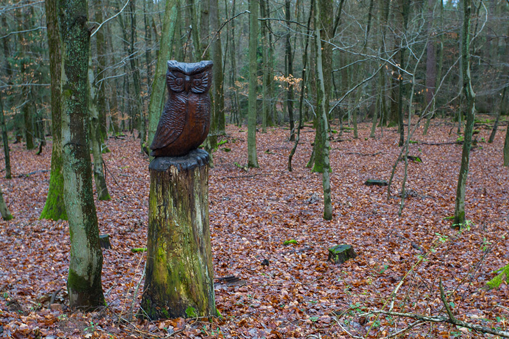 Der Uhu wacht