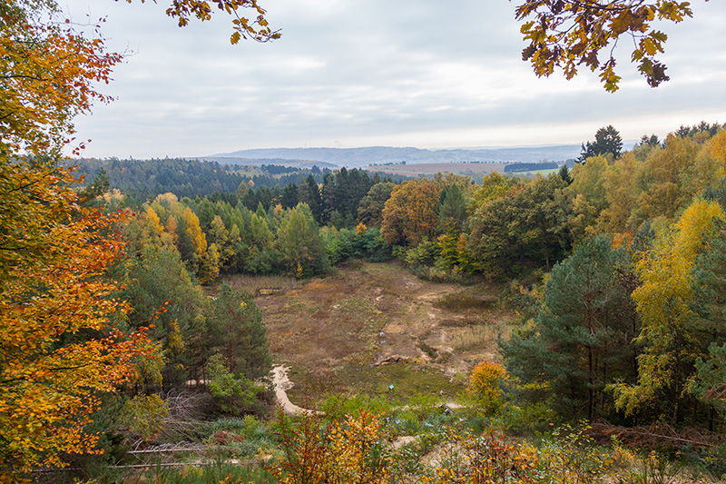 Blick &uuml;ber das Froschparadies (Weiher und Trockengebiete)