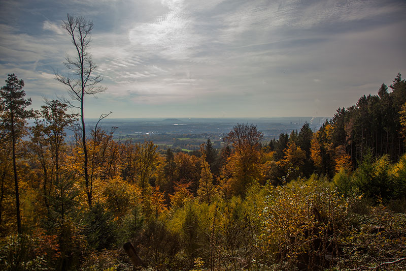 Blick &uuml;ber die Ebene ...