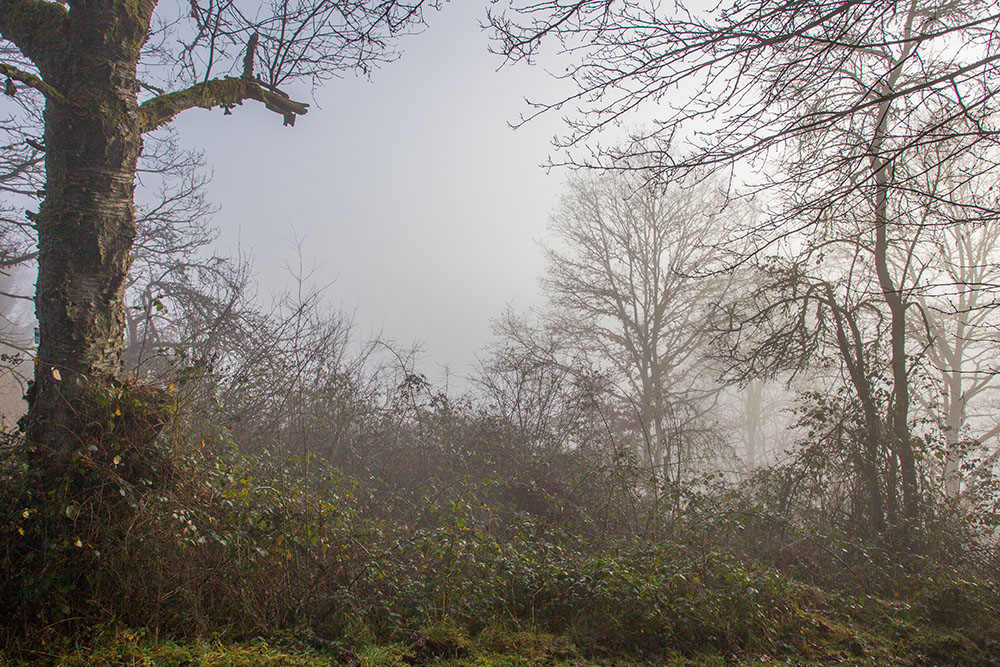 Am Aussichtspunkt Finsternsterren ...
