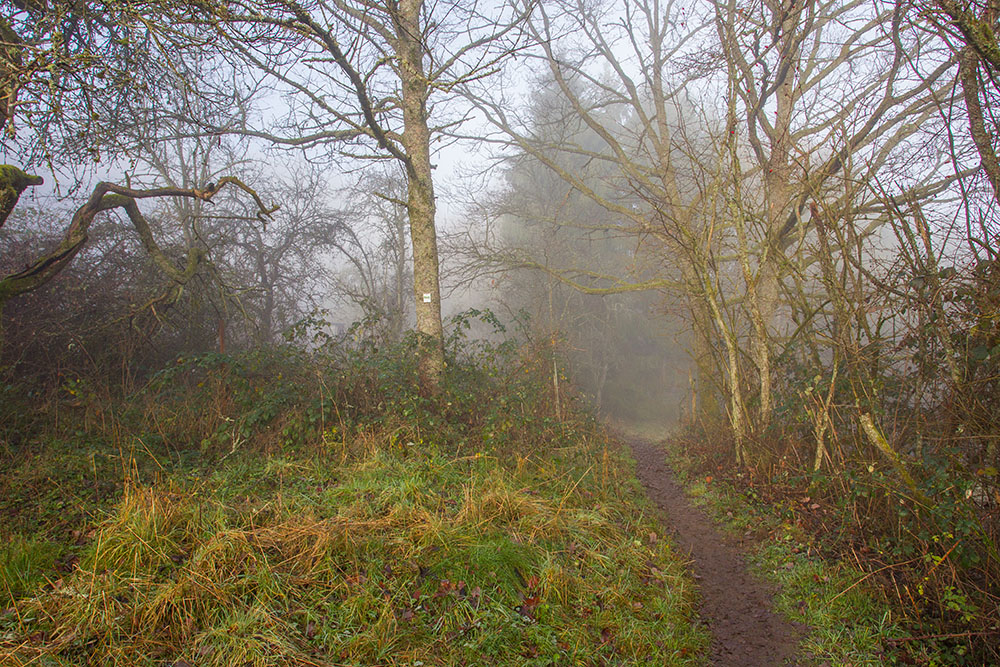 ... vor lauter Nebel keine Aussicht ;-)