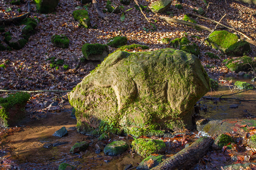 Die "Steinerne Wildsau"
