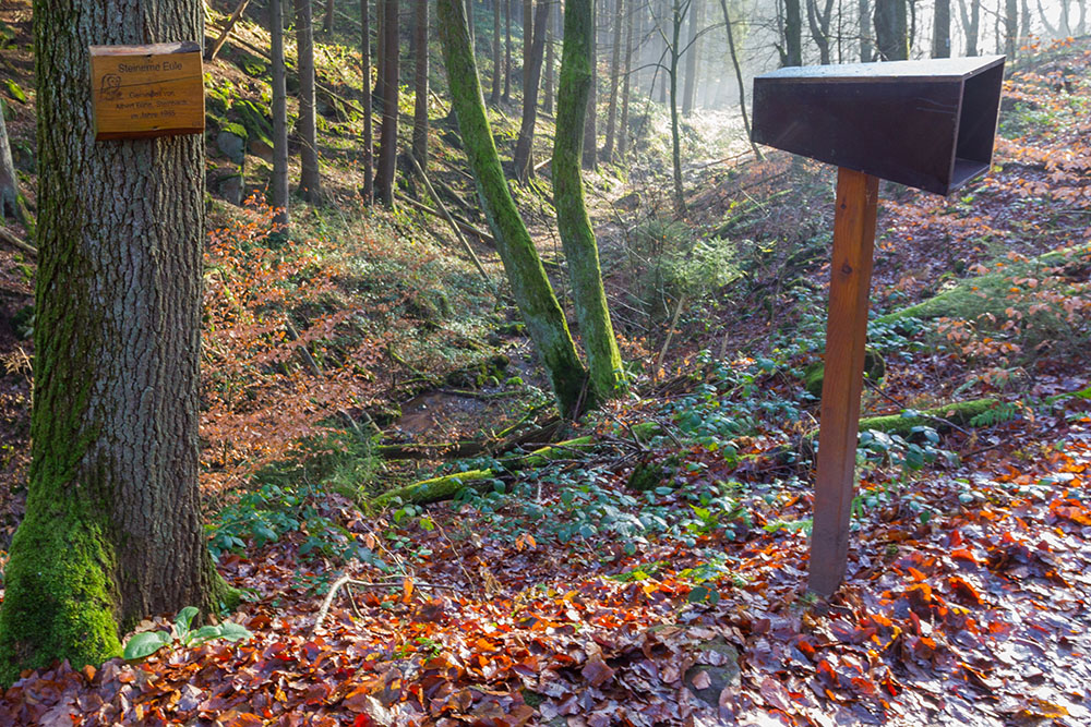 Die "Steinerne Eule" findet man ...