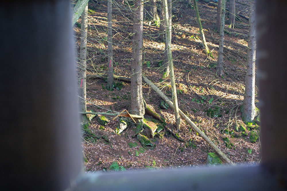 ... wenn man durch das Holzrohr schaut