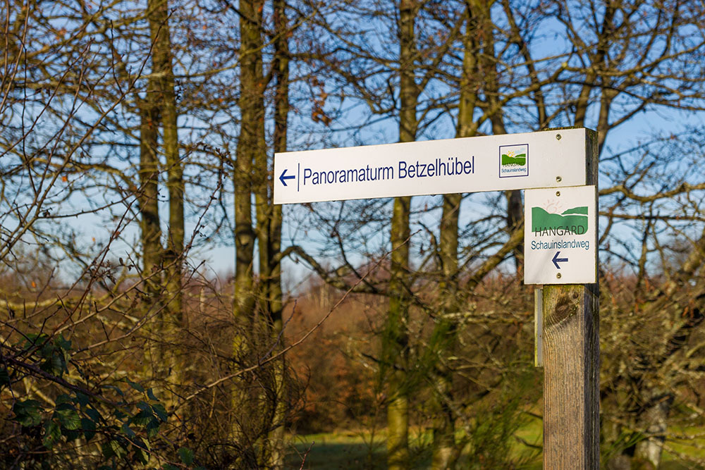 Auf dem Weg zum Aussichtsturm Betzelh&uuml;bel