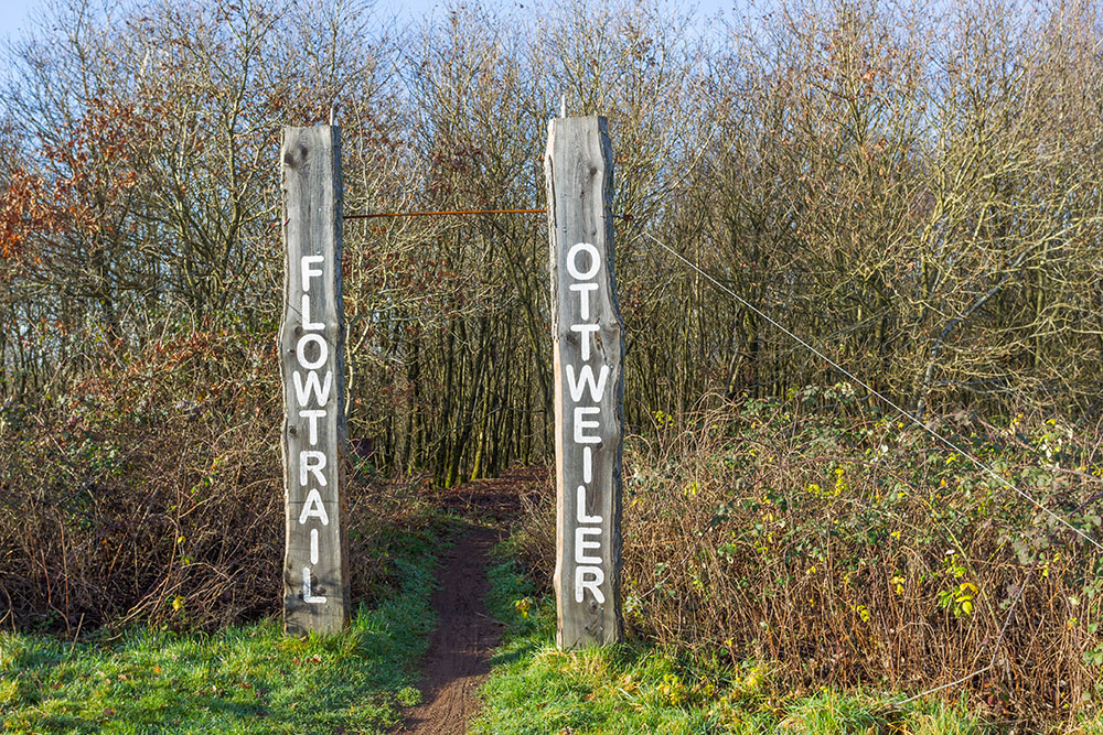 Schade, dass ich jetzt kein Mountainbike habe :-(