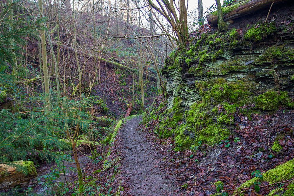 Weg durch die Kerbschlucht