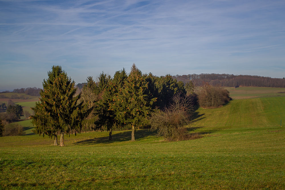 Am Aussichtspunkt Schauinsland