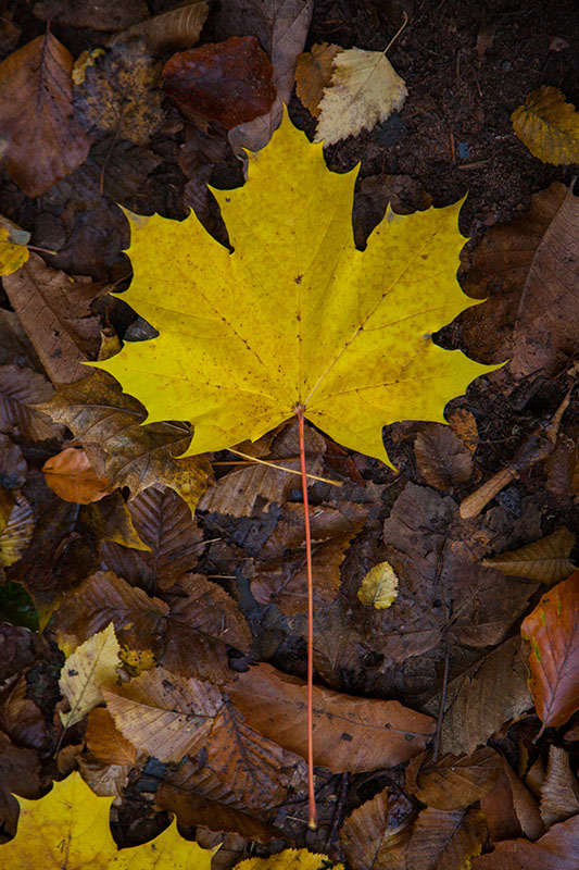 ... schon seit einiger Zeit
