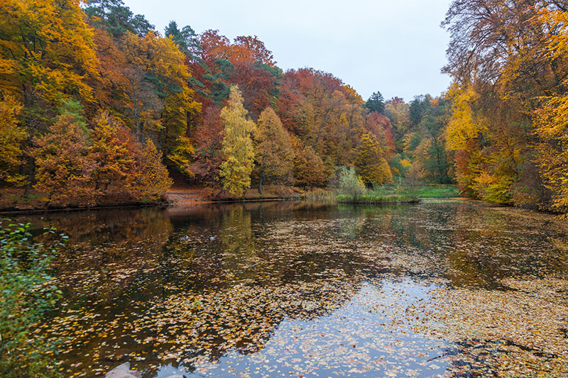 Am Karlsbergweiher