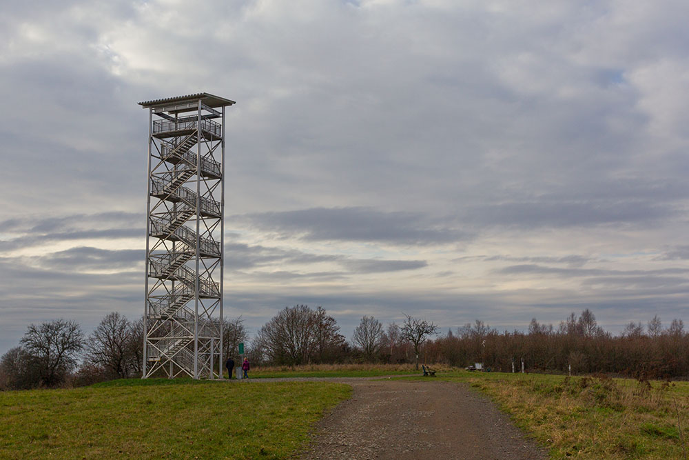 Am Aussichtsturm Betzenhübel