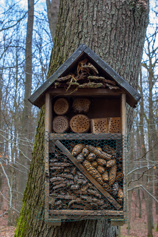 Insektenhotel
