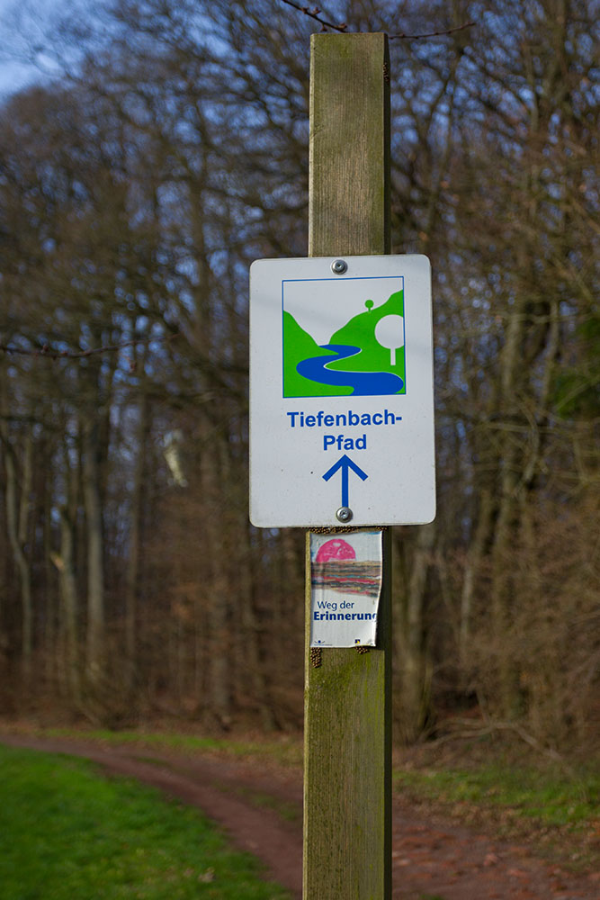 Auf dem Premiumwanderweg Tiefenbach-Pfad