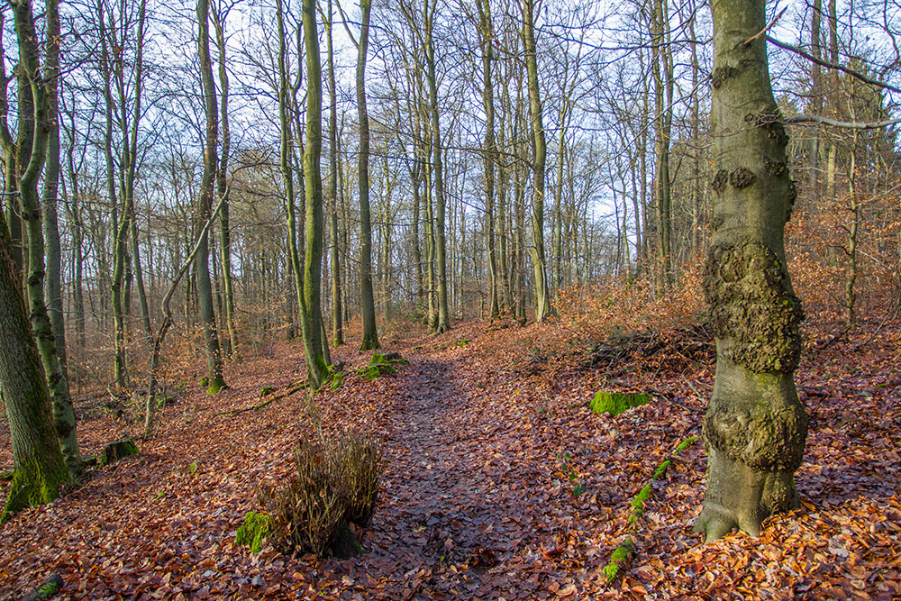 Auf schnalen Pfaden unterwegs