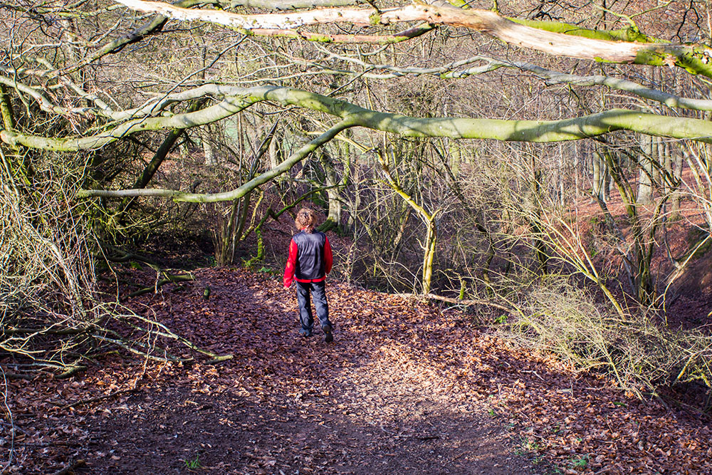 Wir folgen weiter dem Tiefenbach