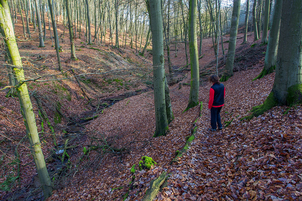 Rutschiger Weg zum Bach ...