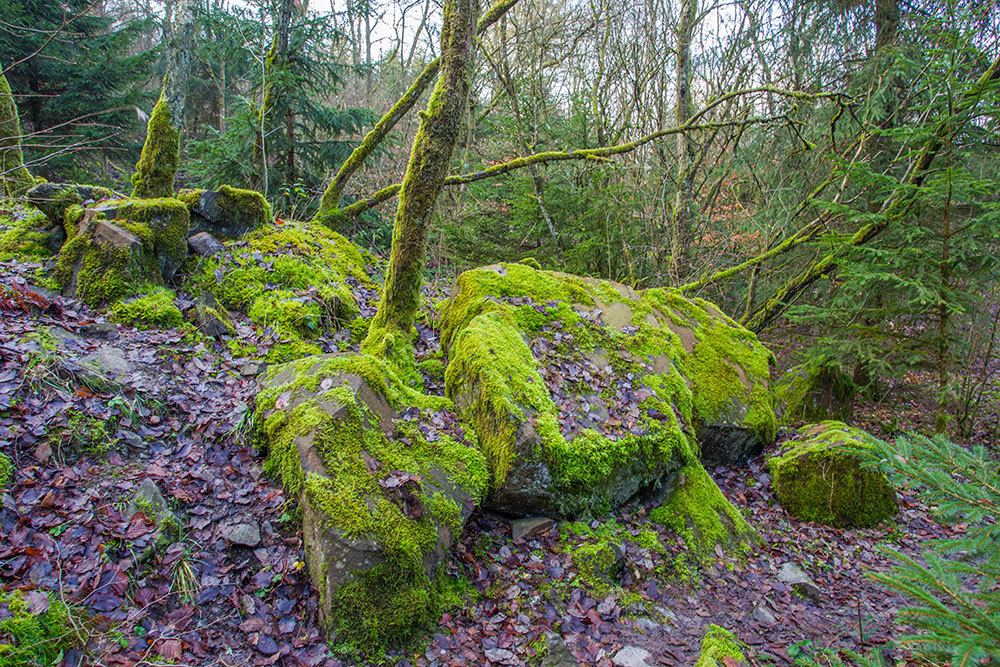 &Uuml;berall liegen moosbewachsene Steine
