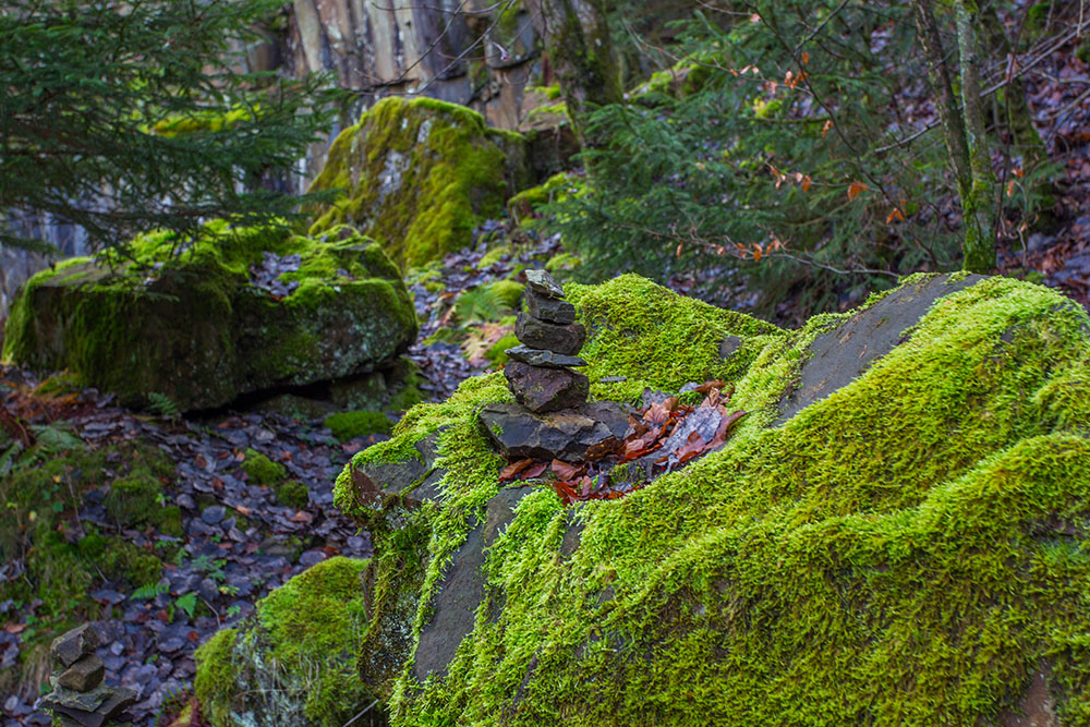 Hier wohnen bestimmt Trolle ;-)