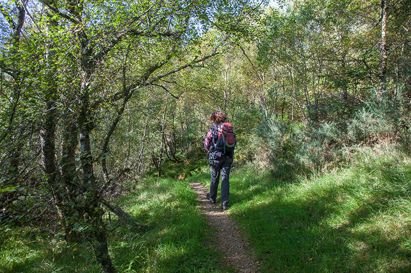 Auf schmalen Pfaden wandern wir durch einen schönen Regenwald