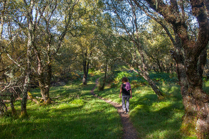 Der Pfad führt uns direkt ...