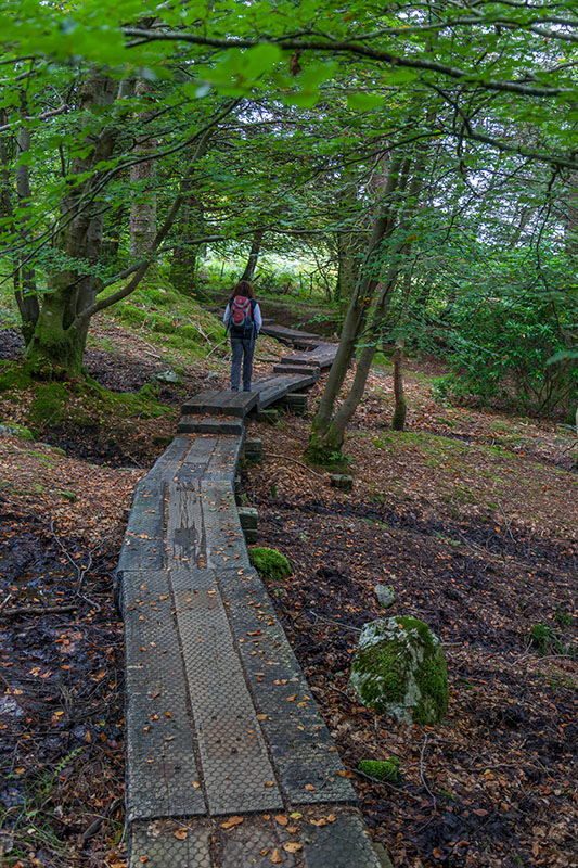 ... und über hölzerne Pfade laufen wir Richtung Viadukt