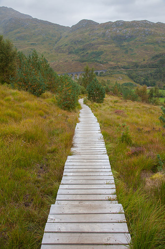 Es gibt nicht nur "Holzwege", zwischendurch war es oft steinig und stufig