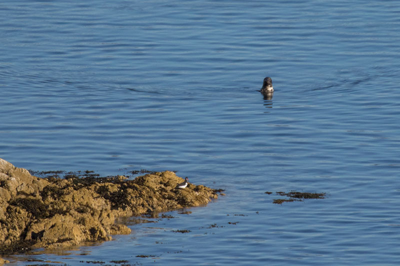 Gibt es was zu sehen?