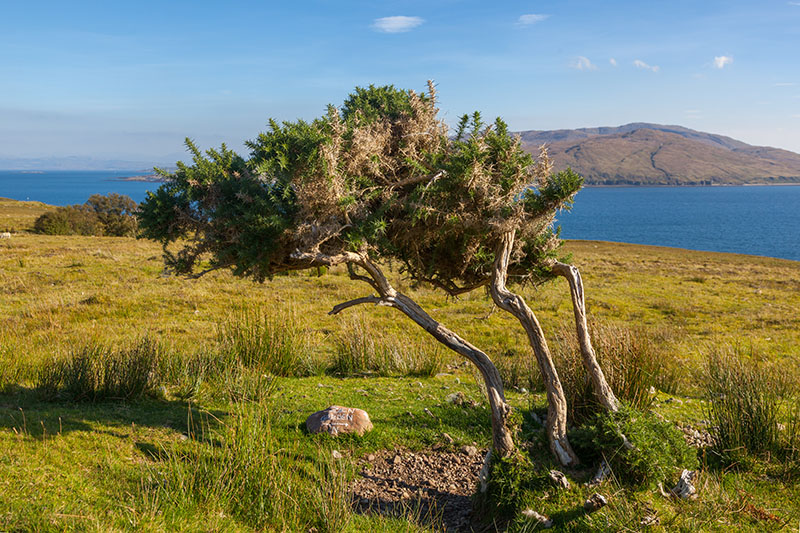 ... wie groß der Zen Garden ist ;-)