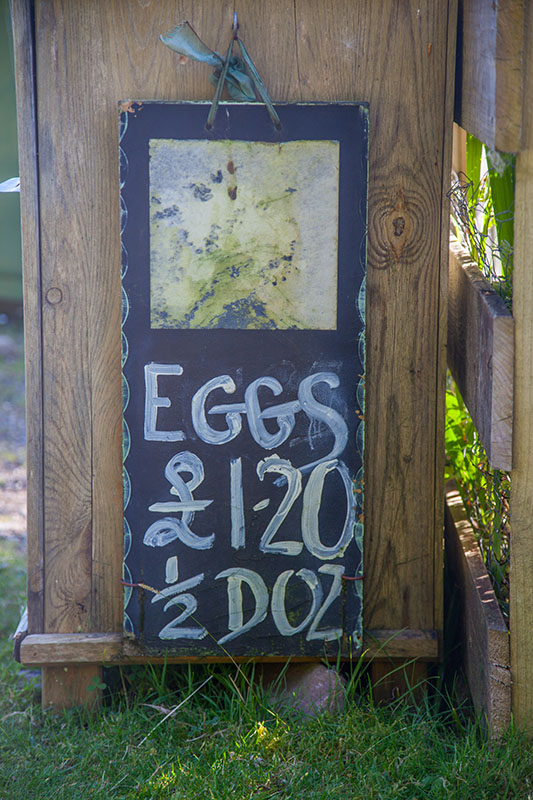 Hier gibt es frische Eier