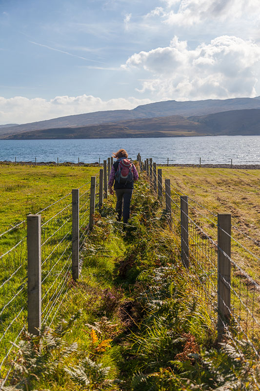 Zwischen Schafweiden hindurch zum Strand