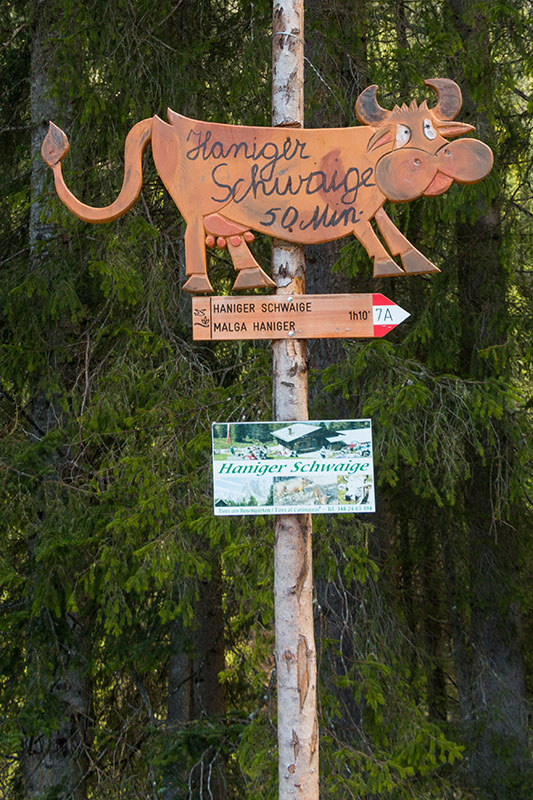 Nun geht es aber los, rauf zur Haniger Schwaige