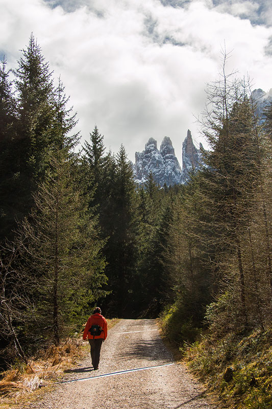 Vor uns liegen die Vajolet-Türme des Rosengartens