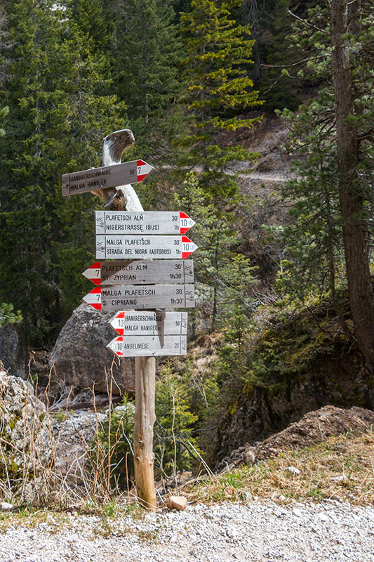 Hier nehmen wir den längeren Weg zur Haniger Schwaige, auf dem kürzeren kommen wir wieder zurück