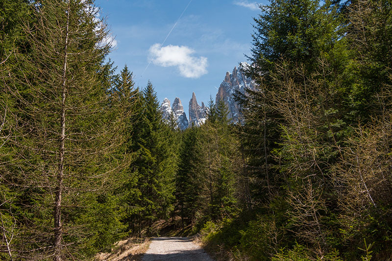 Ein letzter Blick zurück ...